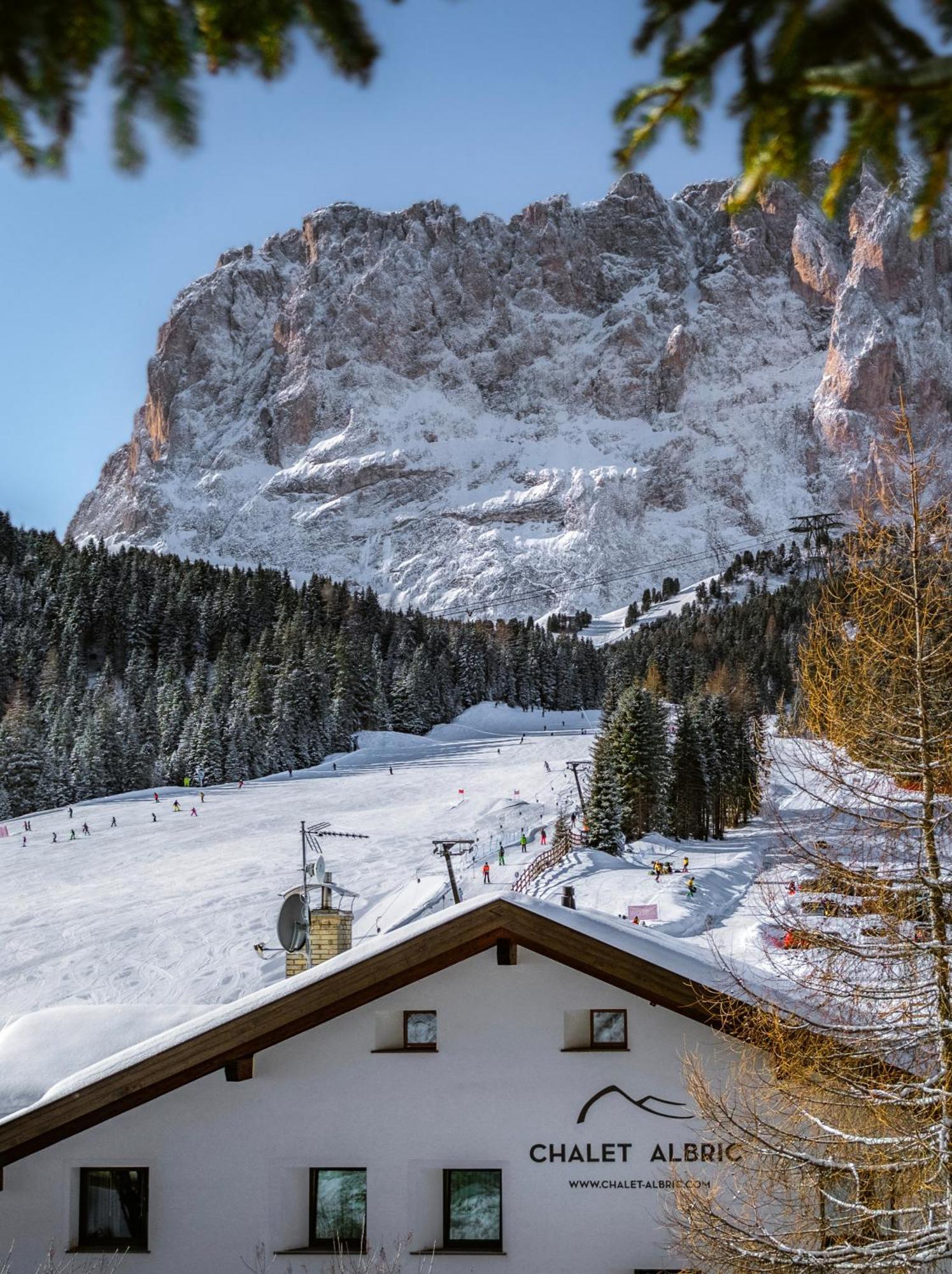 Chalet Albric Selva di Val Gardena Dış mekan fotoğraf